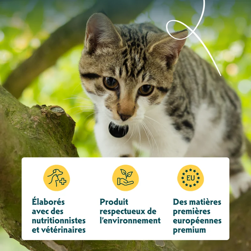 Yarrah bouchées bio sans céréales - pâtée chat