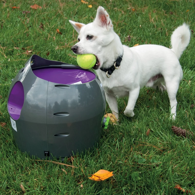 Lanceur de balles automatique chien