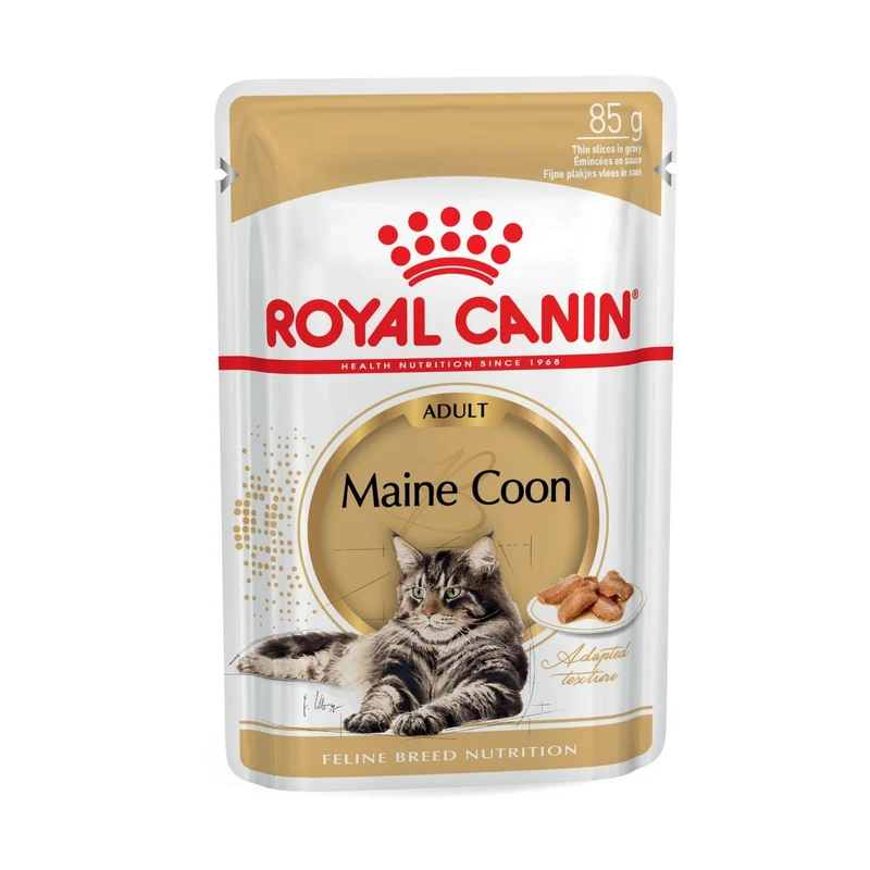 Royal Canin Maine Coon