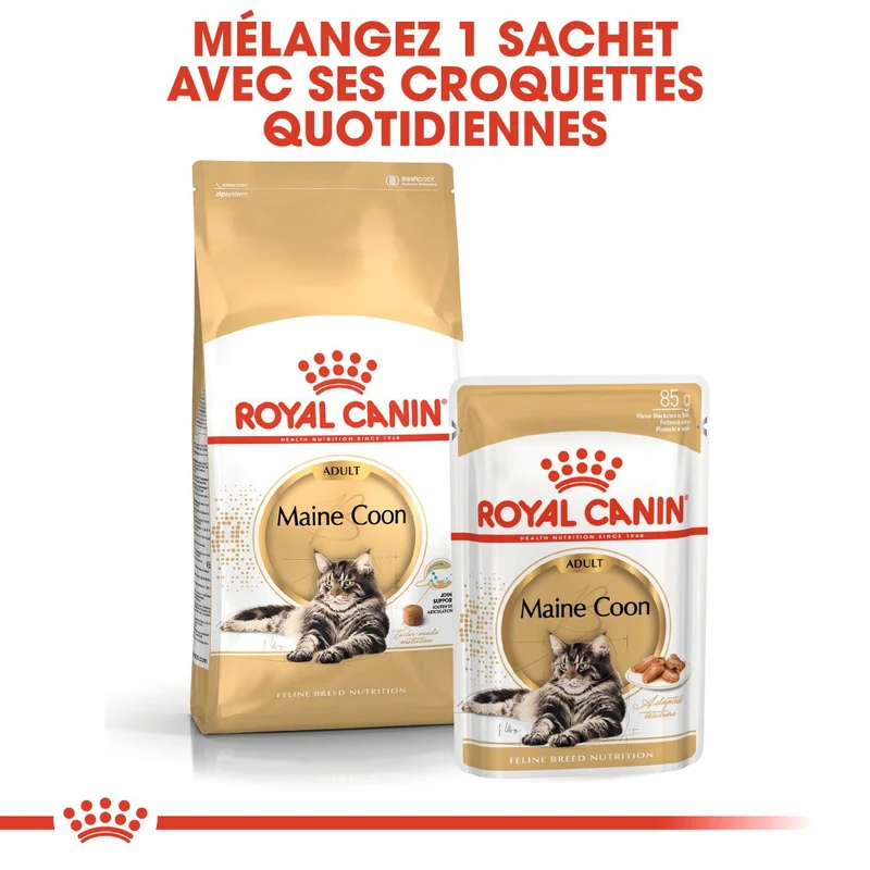 Royal Canin Maine Coon