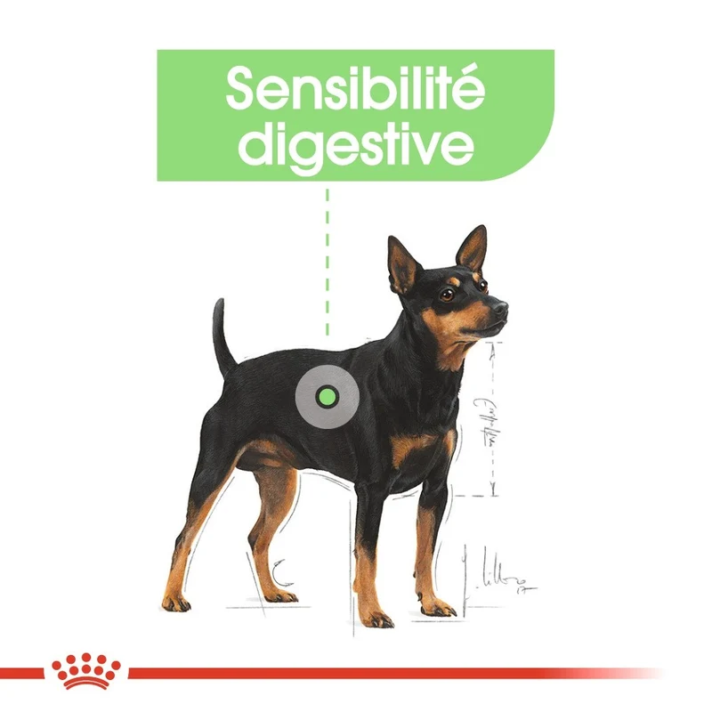 Royal Canin Digestive Care - Pâtée pour chien