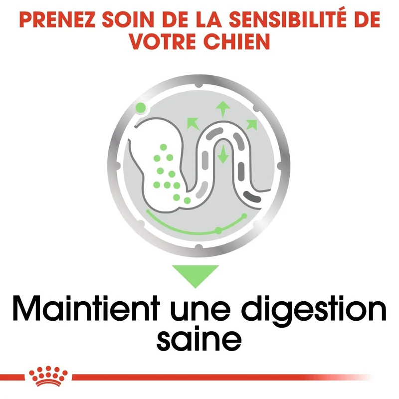 Royal Canin Digestive Care - Pâtée pour chien