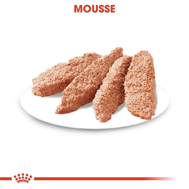 Royal Canin Dermacomfort - pâtée chien