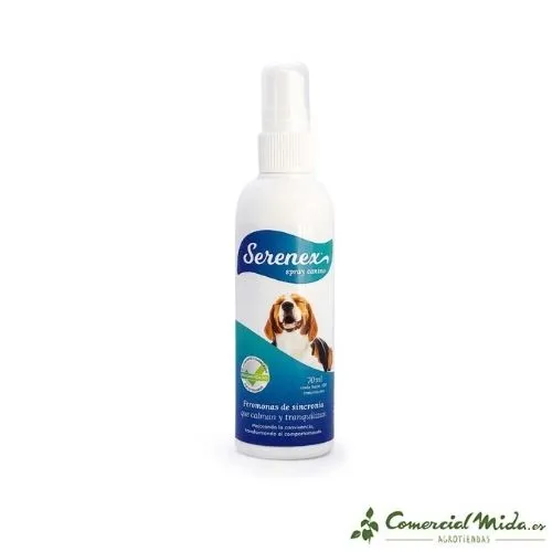 SERENEX König Spray aux phéromones canines