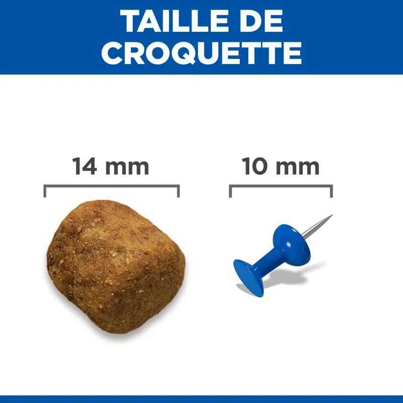 Hill's Science Plan Large Adult au poulet - croquettes chien