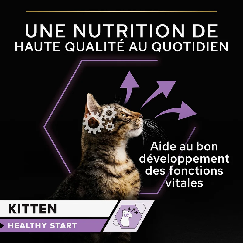 Pro Plan Healthy Start Kitten en mousse au poulet - pâtée chaton