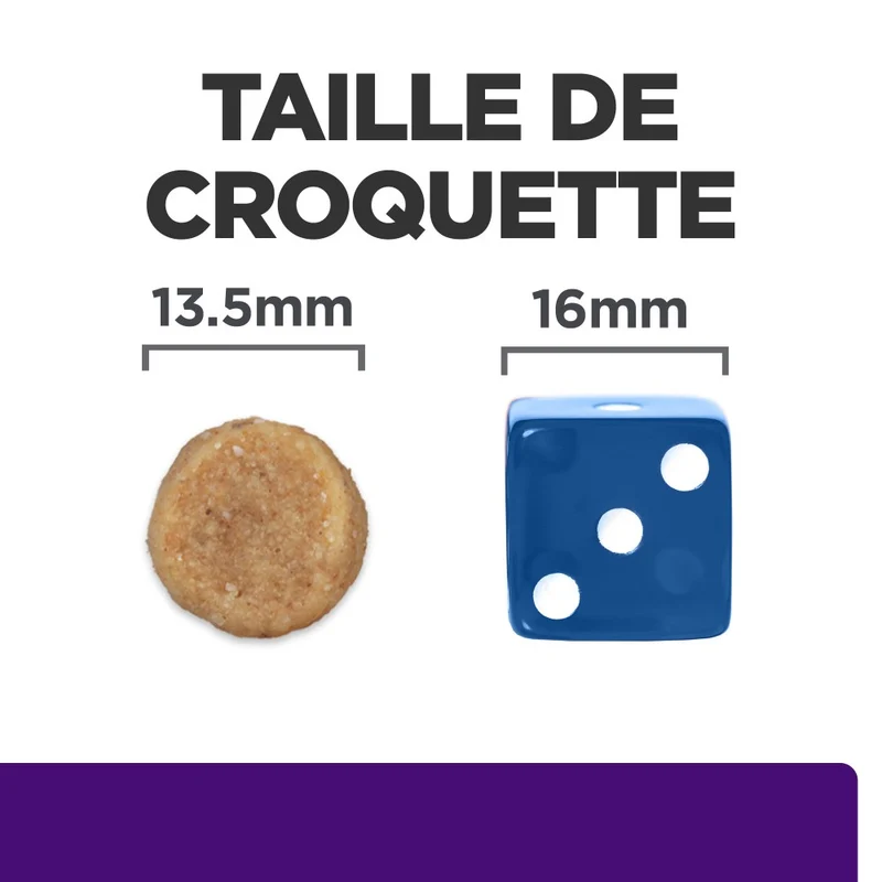 Hill's Prescription Diet u/d Urinary Care - croquettes chien