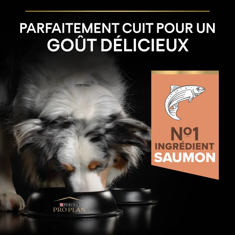 Pro Plan Sensitive Skin Medium & Large Adult au saumon - croquettes chien