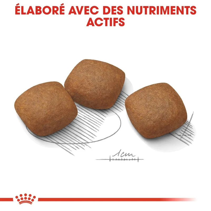 Royal Canin Maxi Joint Care - croquettes chien