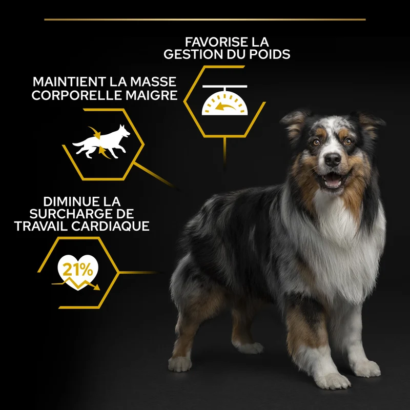 Pro Plan Light/Sterilised All Sizes Adult au poulet - croquettes chien