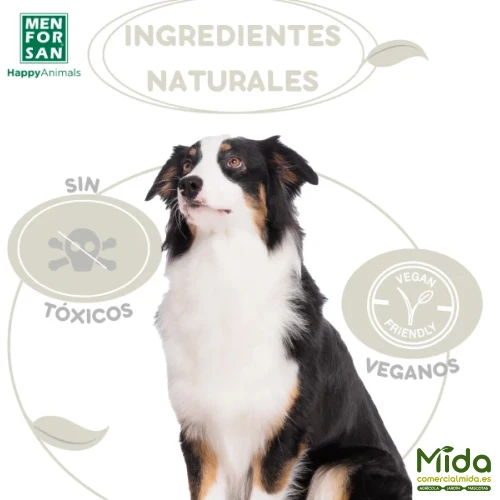 MENFORSAN Shampoing en Poudre pour Chiens, Chats et Rongeurs 250gr
