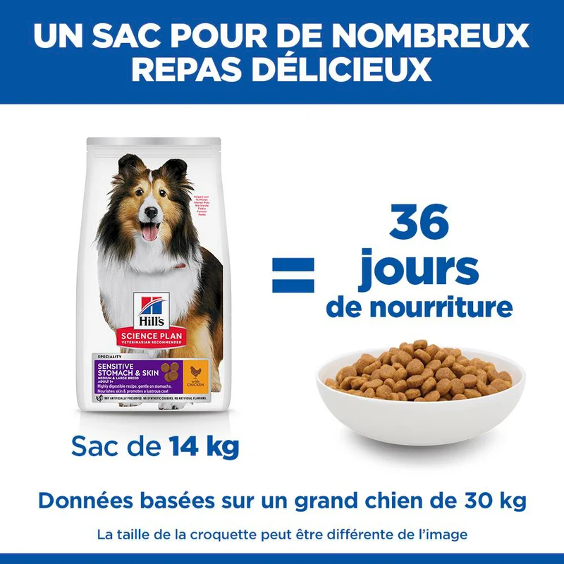 Hill's Science Plan Sensitive Stomach & Skin Medium & Large Adult au poulet - croquettes chien