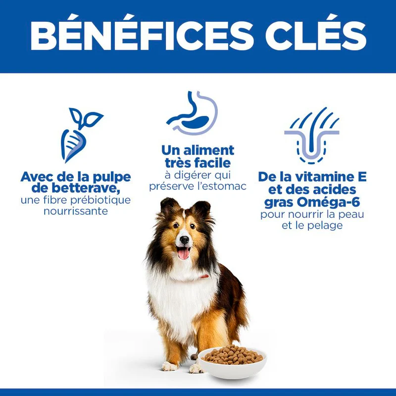 Hill's Science Plan Sensitive Stomach & Skin Medium & Large Adult au poulet - croquettes chien