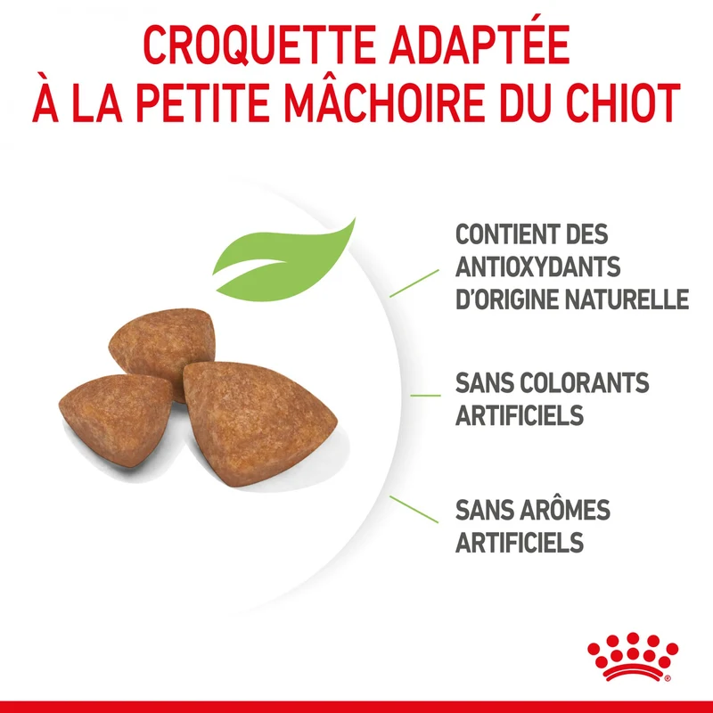Royal Canin X-Small Puppy - croquettes chiot