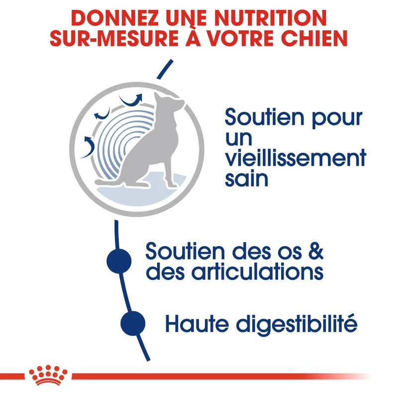 Royal Canin Maxi Ageing 8+ - Croquettes pour chien