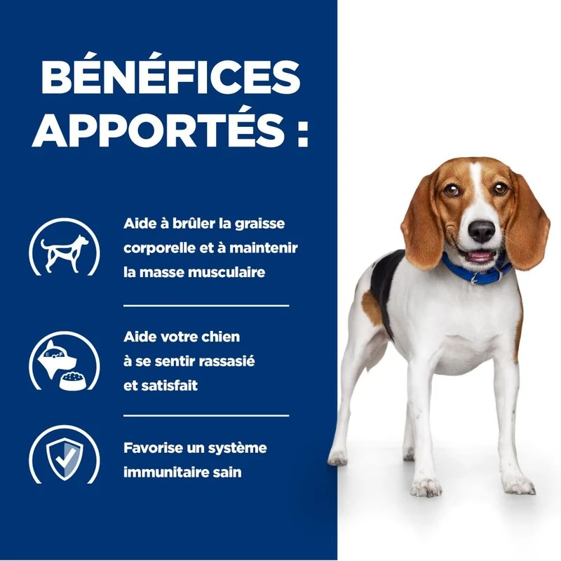 Hill's Prescription Diet r/d Weight Loss au poulet - croquettes chien