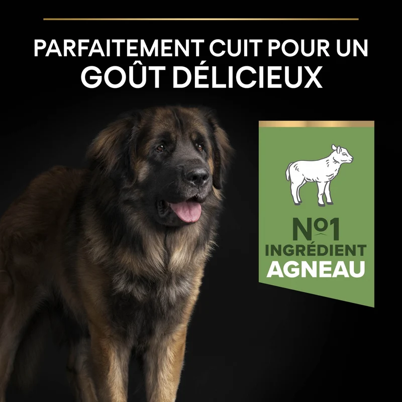 Pro Plan Sensitive Digestion Large Robust Adult à l'agneau - croquettes chien