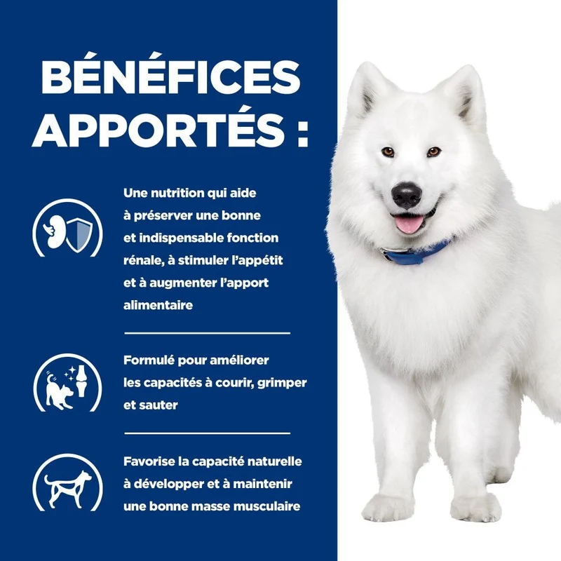 Hill's Prescription Diet k/d j/d Kidney + Mobility - croquettes chien