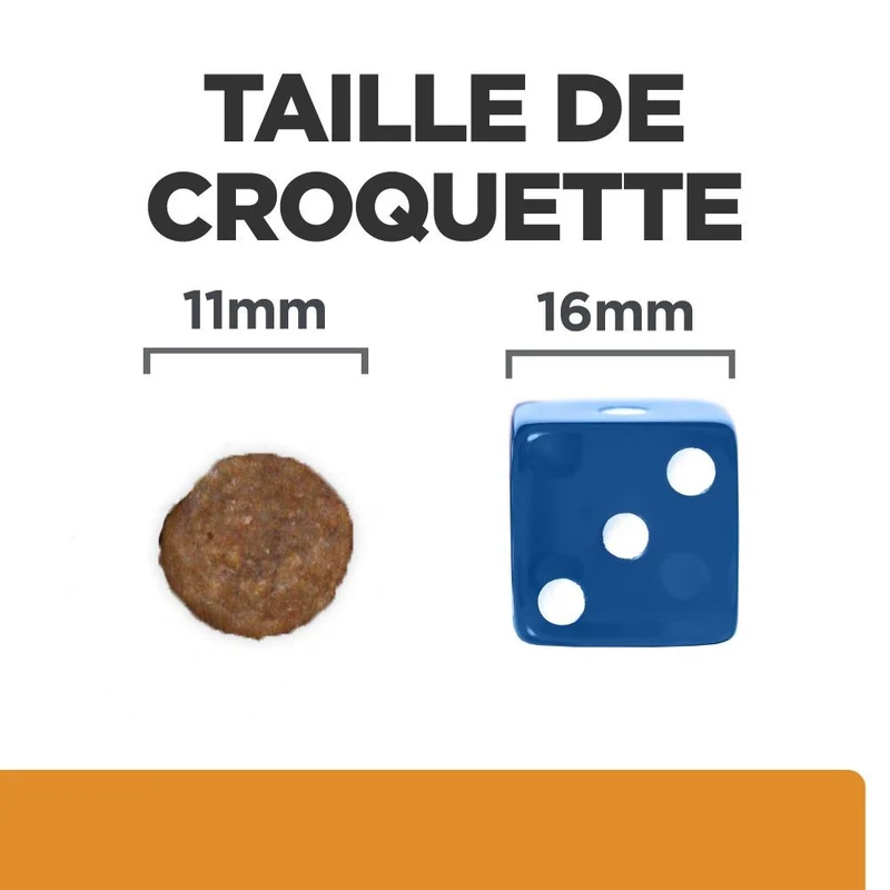Hill's Prescription Diet k/d j/d Kidney + Mobility - croquettes chien