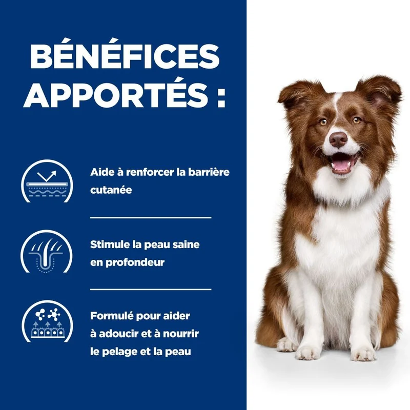 Hill's Prescription Diet Derm Defense au poulet - croquettes chien
