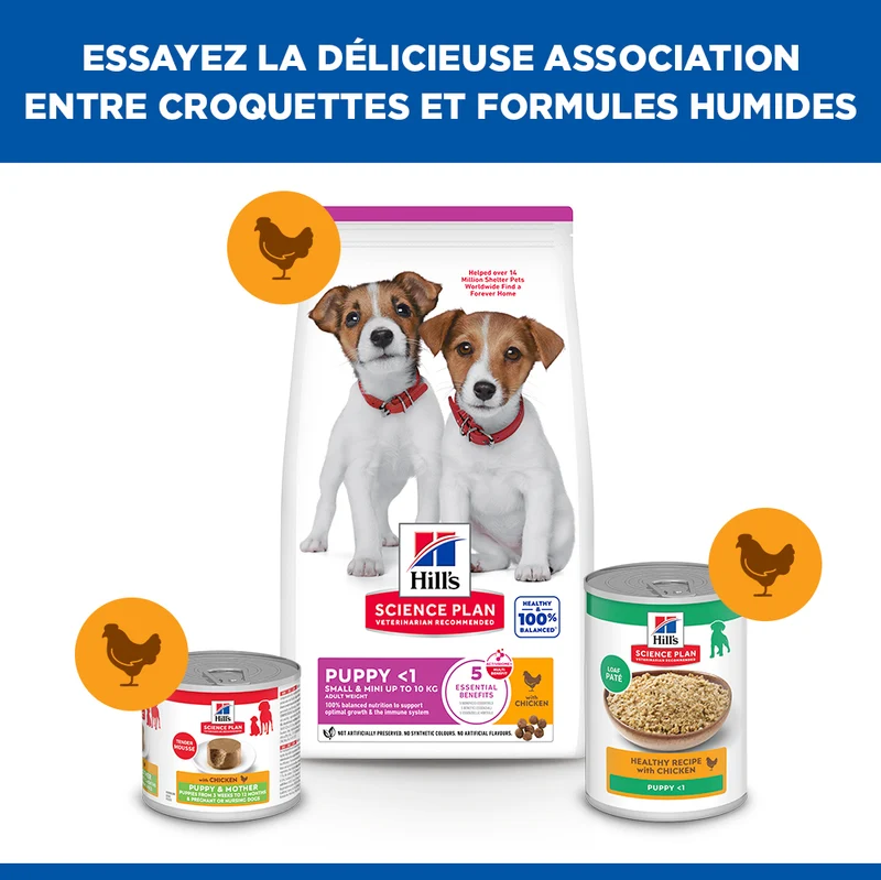 Hill's Science Plan Small & Mini Puppy au poulet - croquettes chiot