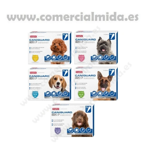 CANIGUARD DUO, pipettes antiparasitaires pour chiens