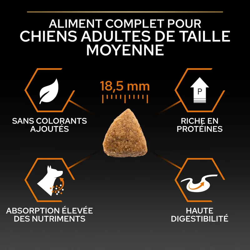 Pro Plan Everyday Nutrition Large Athletic Adult au poulet - croquettes chien