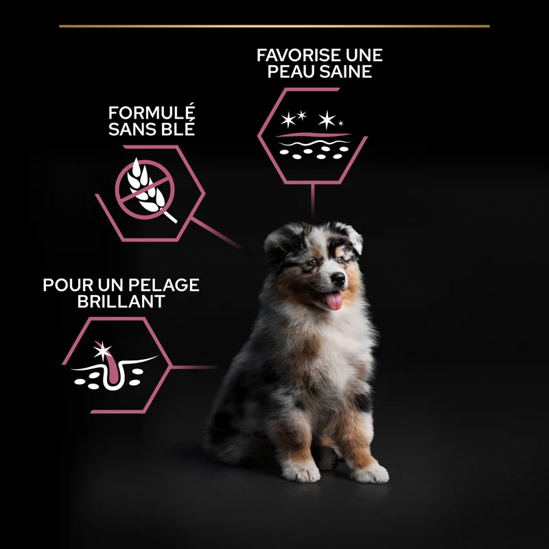 PRO PLAN Sensitive Skin Medium Puppy au Saumon - Croquettes pour chien