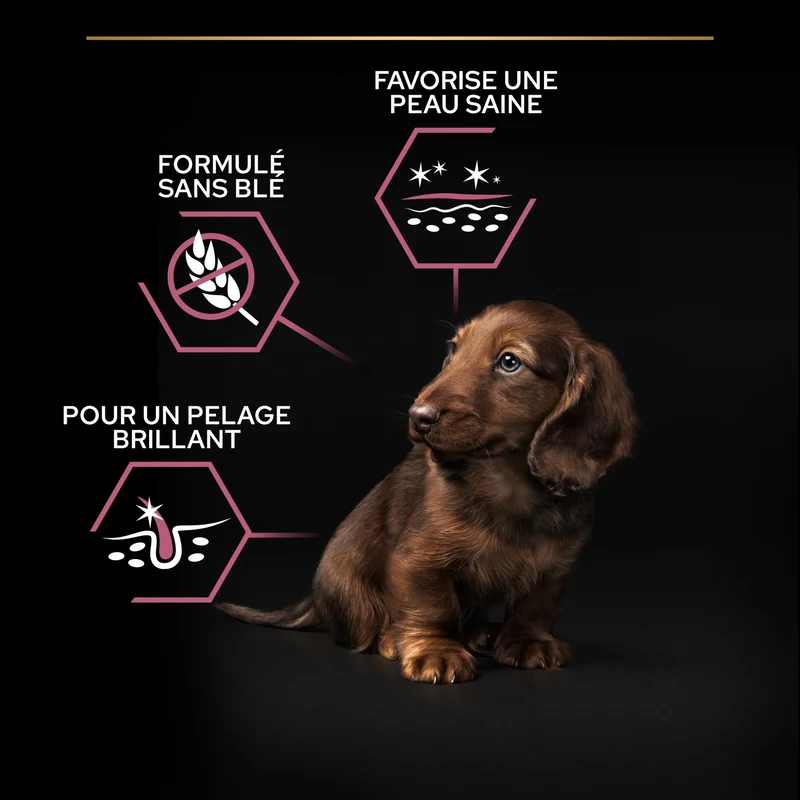Pro Plan Sensitive Skin Small & Mini Puppy au saumon - croquettes chiot