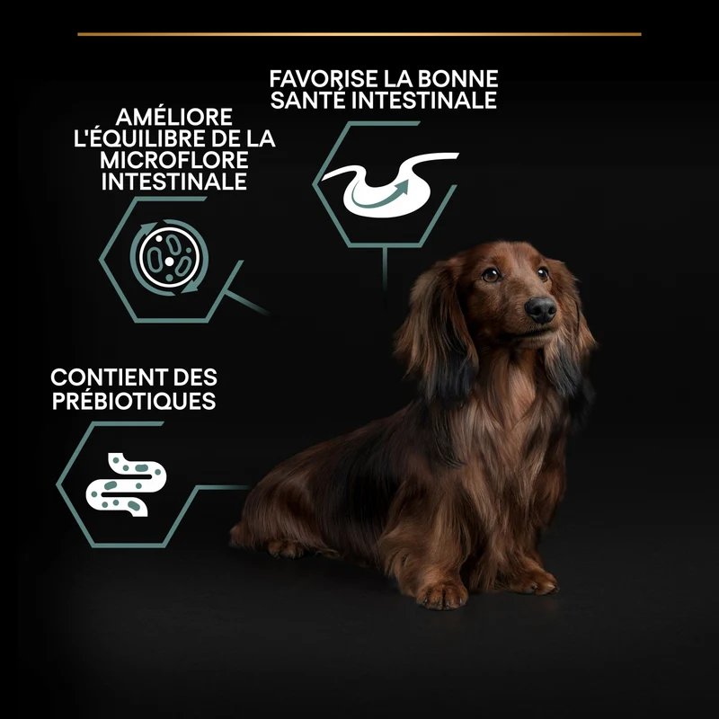 Pro Plan Sensitive Digestion Small & Mini Adult à l'agneau - croquettes chien