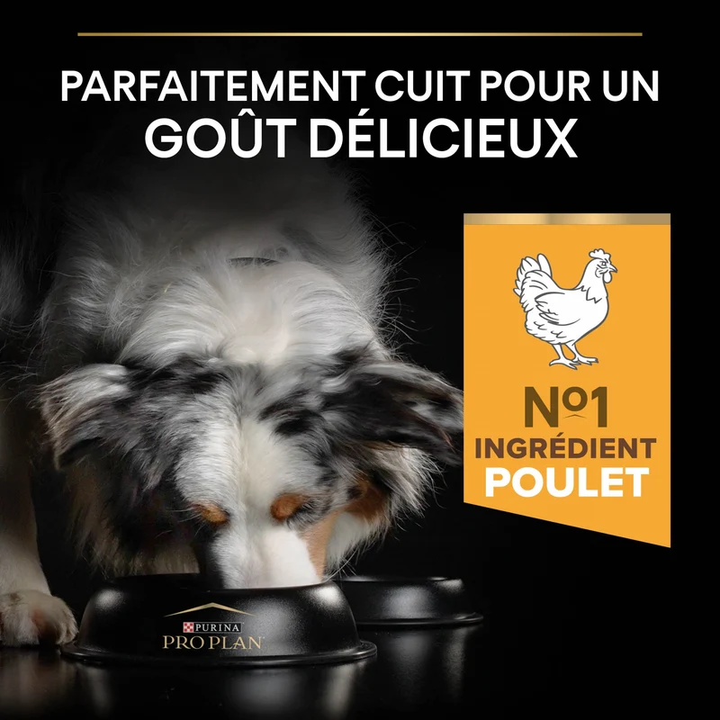 Pro Plan Age Defence Medium & Large Adult au poulet - croquettes chien