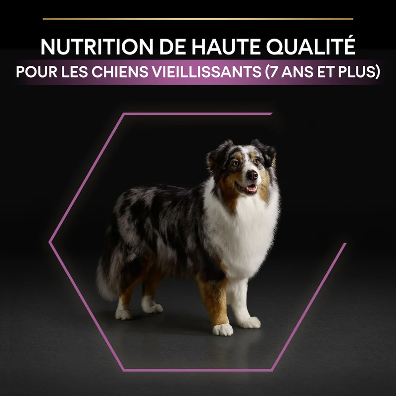 Pro Plan Age Defence Medium & Large Adult au poulet - croquettes chien