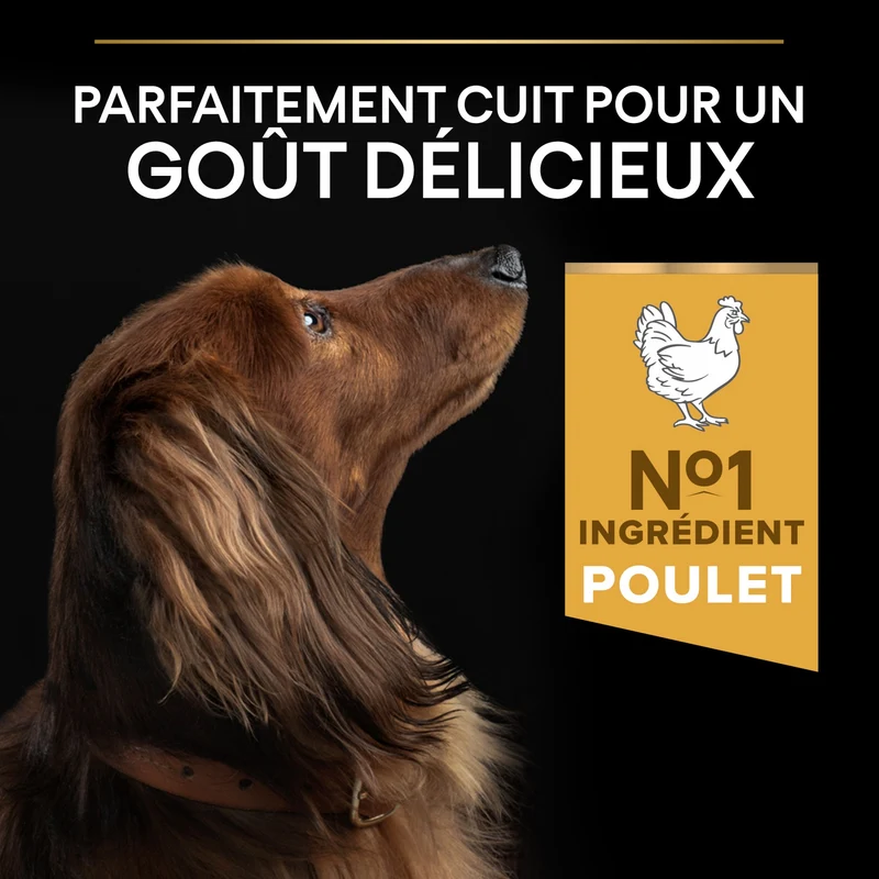 Pro Plan Everyday Nutrition Small & Mini Adult au poulet - croquettes chien