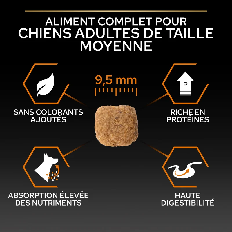 Pro Plan Everyday Nutrition Small & Mini Adult au poulet - croquettes chien