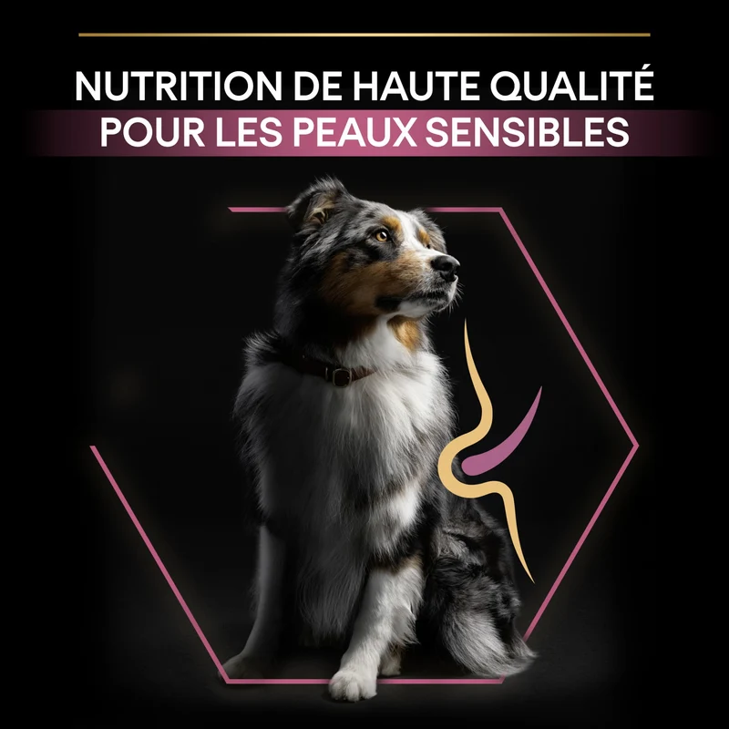 Pro Plan Sensitive Skin Medium & Large Adult au saumon - croquettes chien