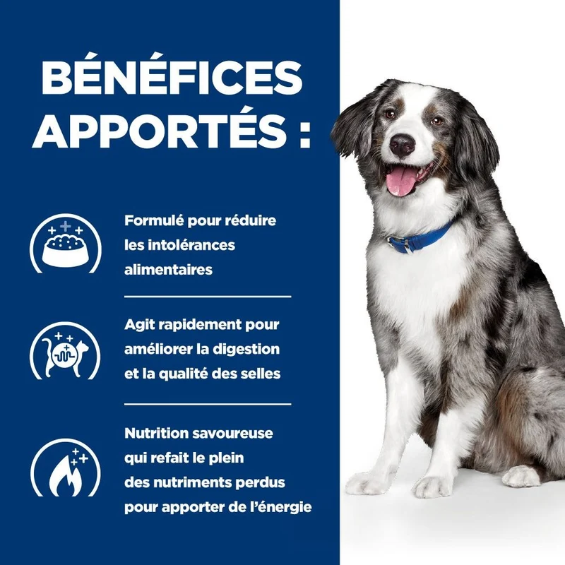 Hill's Prescription Diet i/d Digestive Care Sensitive à l'oeuf et au riz - croquettes chien