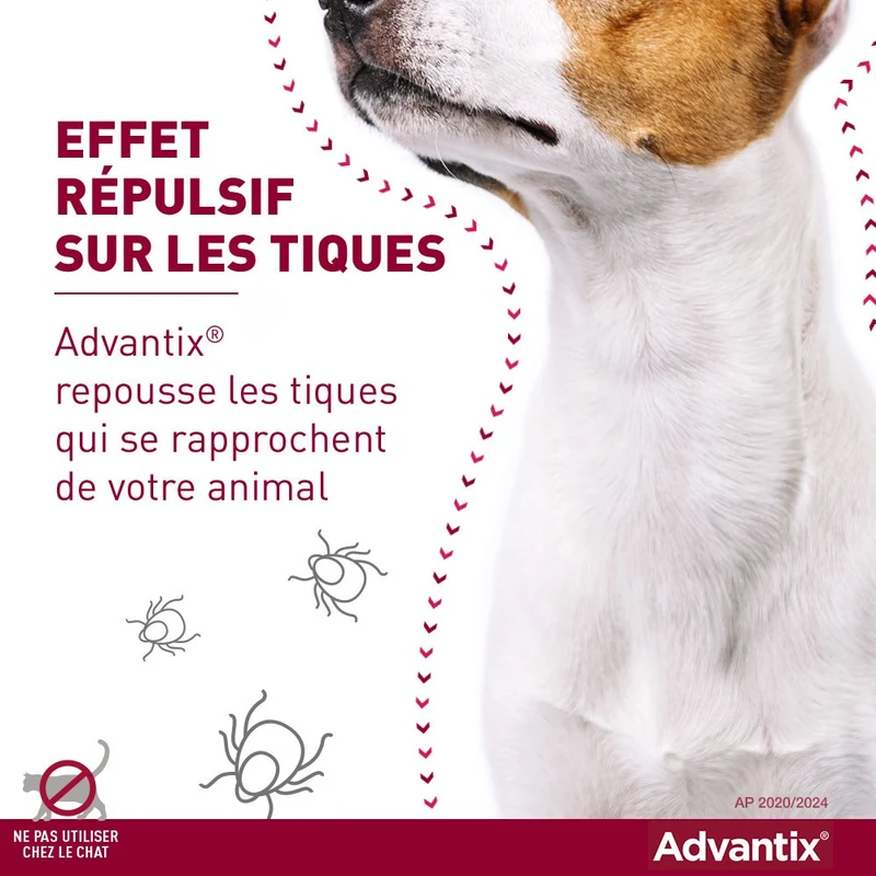 Pipettes Advantix chien