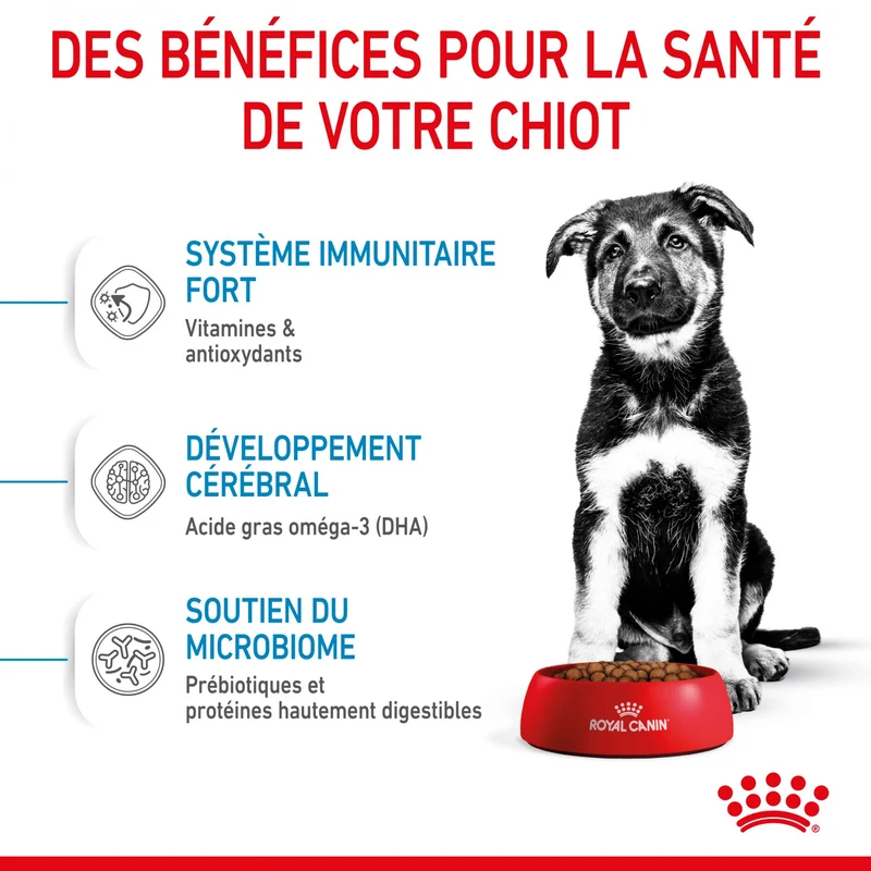 Royal Canin Maxi Puppy - Croquettes pour chiot