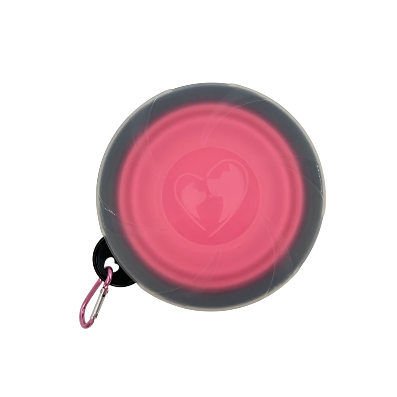 Gamelle pliable en silicone avec couvercle