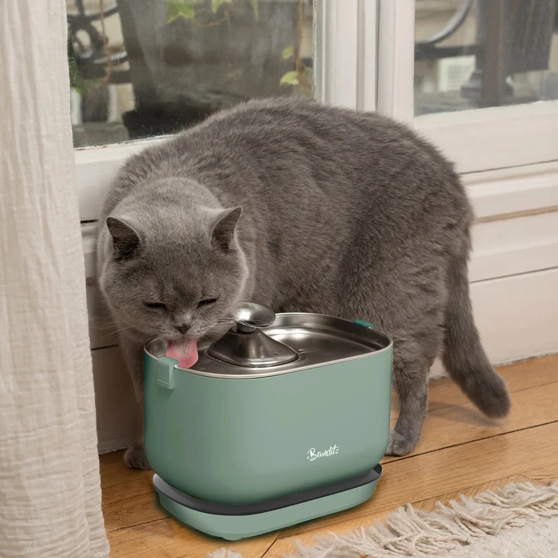 Fontaine à eau sans fil pour chat