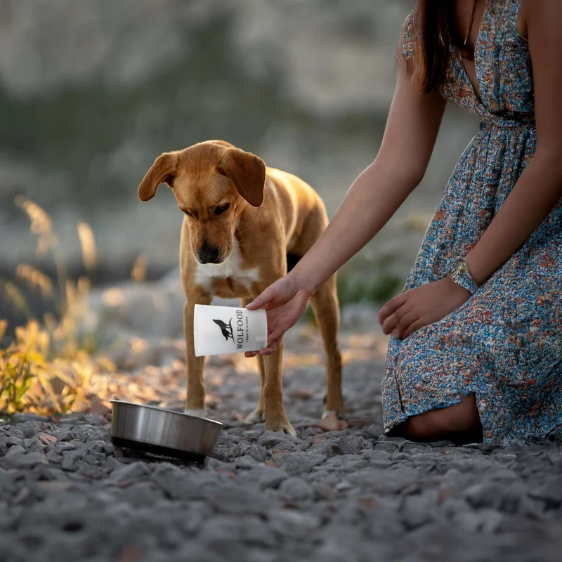 GOBELET DOSEUR POUR CHIEN