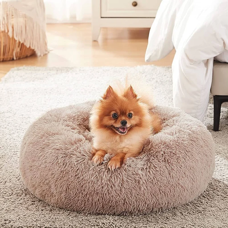 Coussin Apaisant Pour Chien