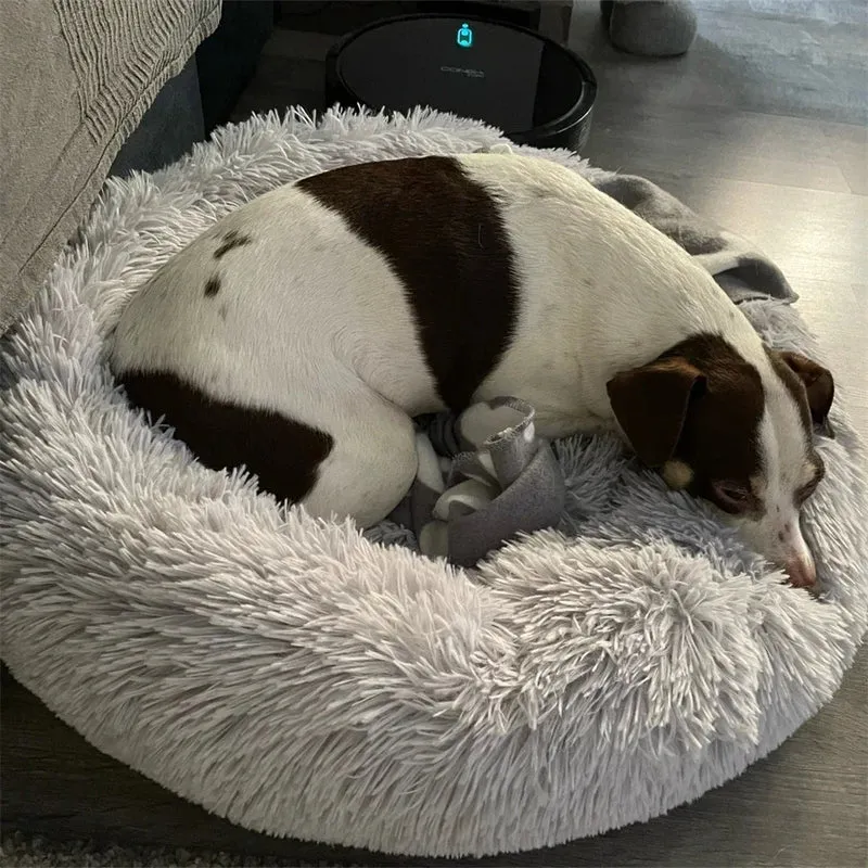 Coussin Apaisant Pour Chien