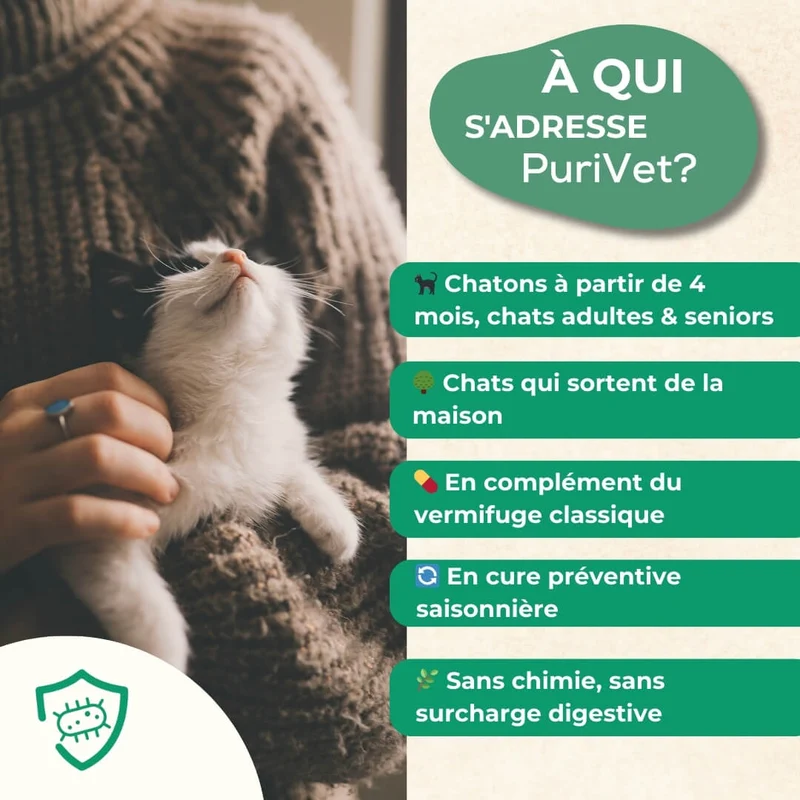 PuriVet - Défense Interne - Chat