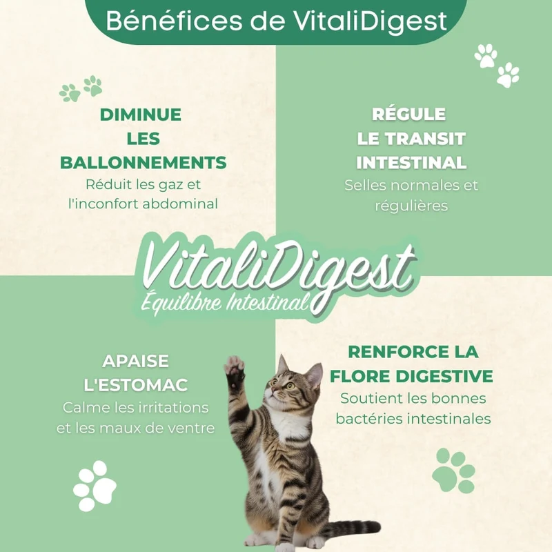 VitaliDigest - Équilibre Intestinal - chat