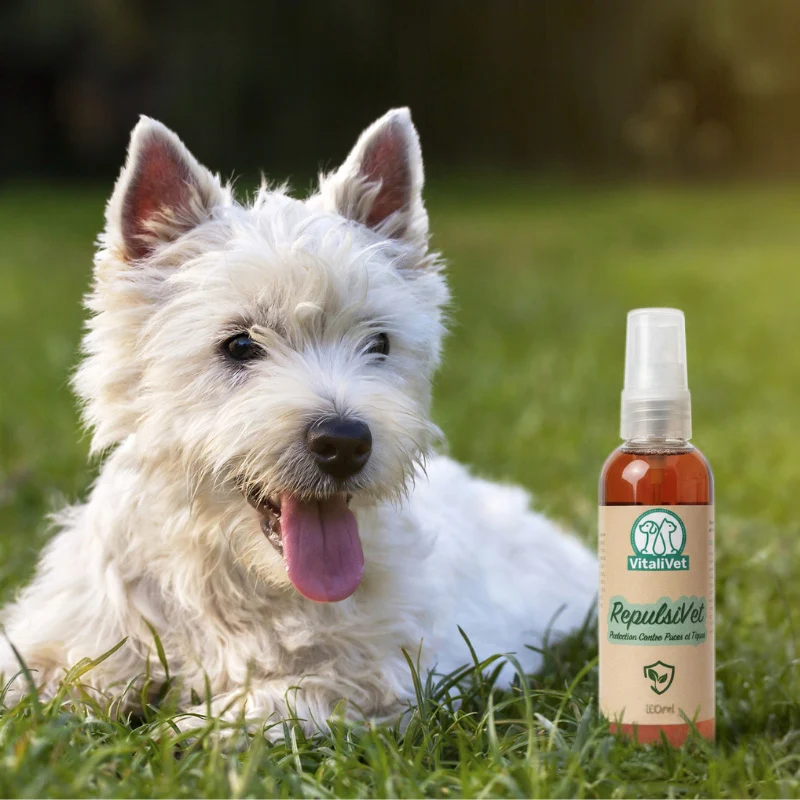 RepulsiVet – Protection naturelle contre puces et tiques - chien