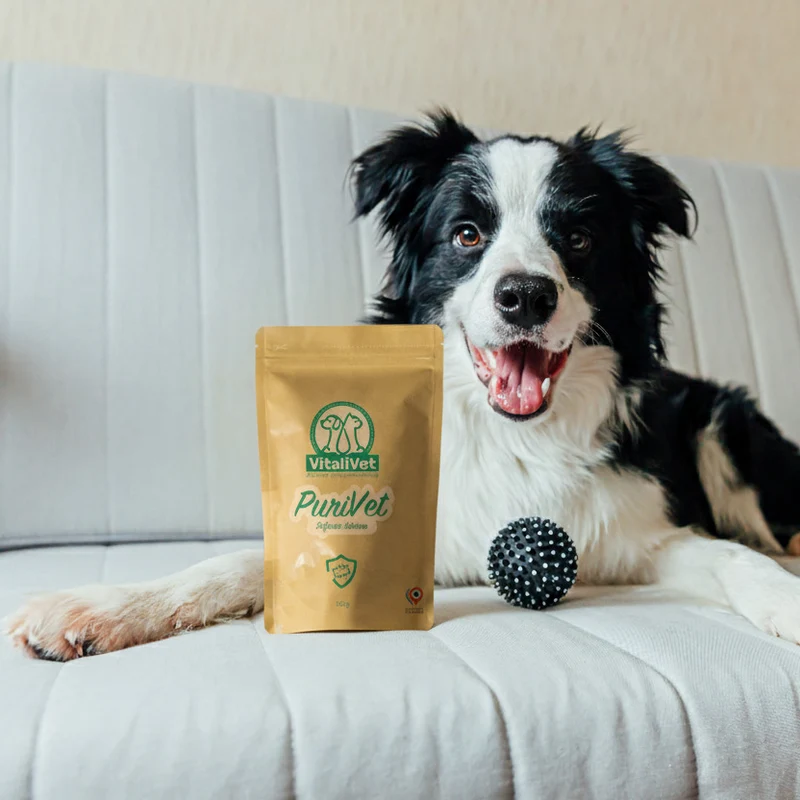 PuriVet – Défense Interne - chien