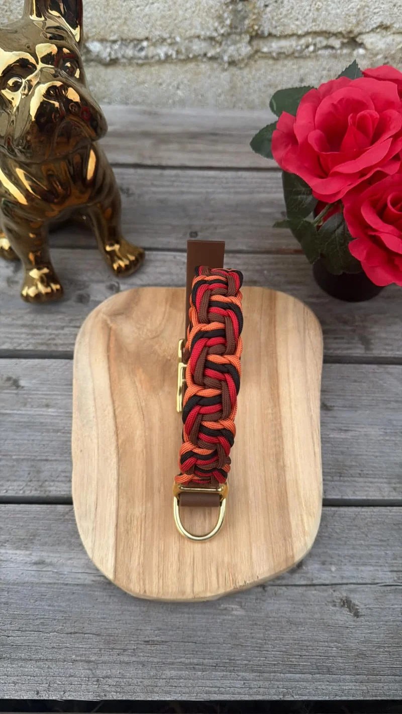 Collier Tressé en Paracorde pour Chien - ZIGZAG