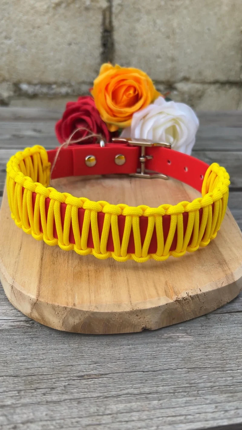 Collier Easy - Sangle résistante et paracorde