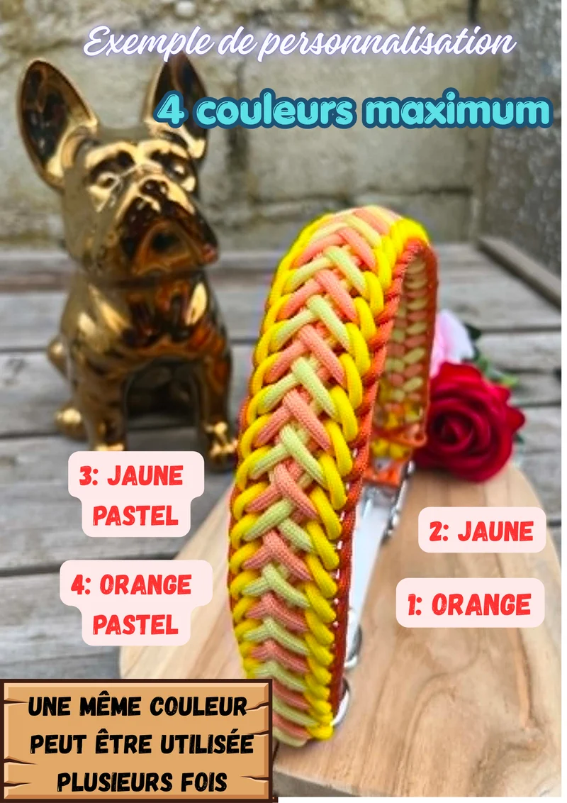 Collier pour chien personnalisé en paracorde - STRONG
